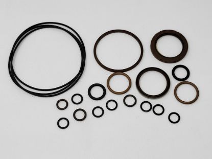Picture of NEW LEADER 39137 GEARCASE MOTOR SEAL KIT 60545-000